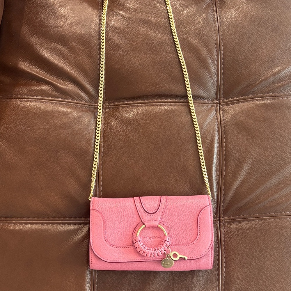 Chic Pink Chloe bag
